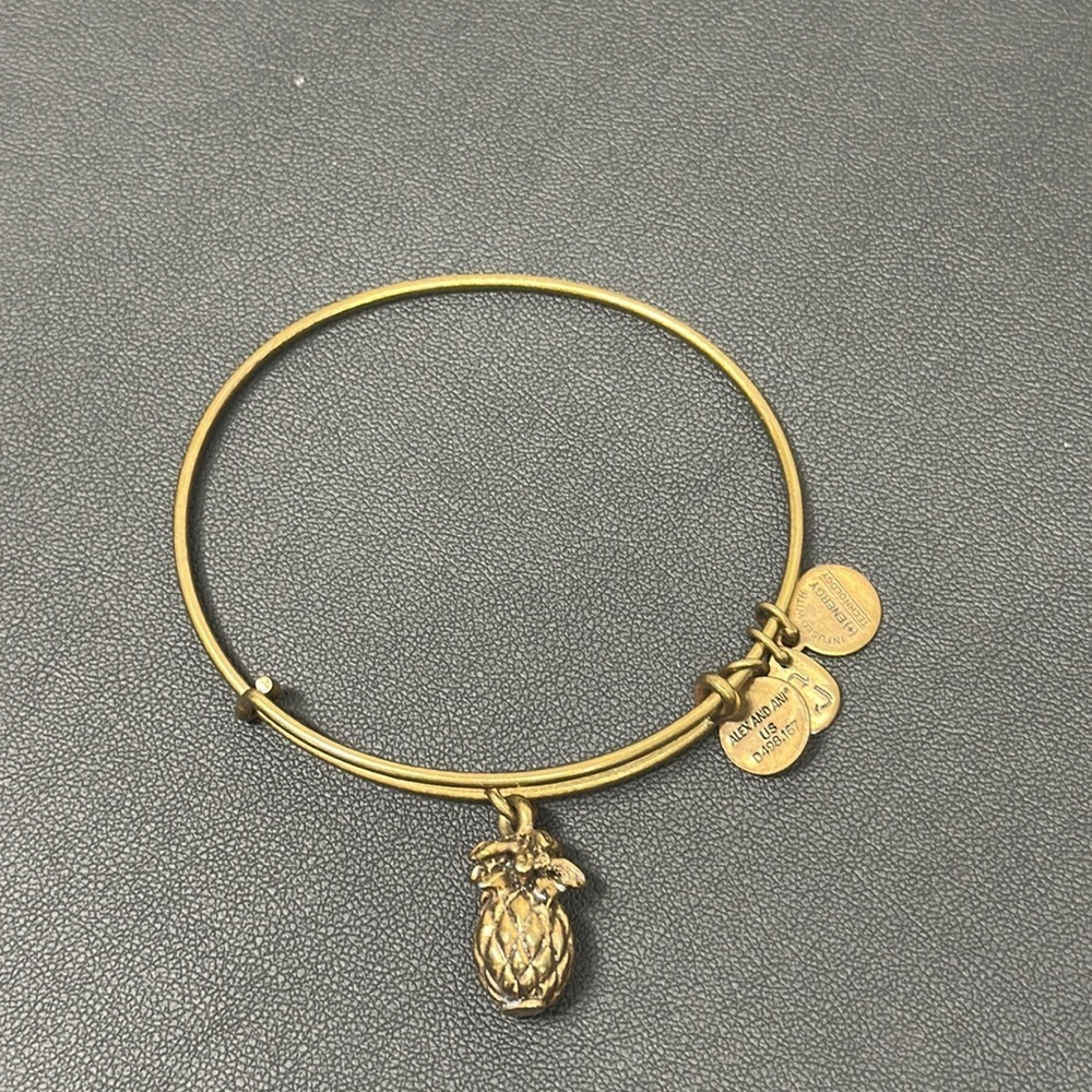 Your Pick – Alex & Ani Gold Charm Bracelets | Boho Spiritual Jewelry - Picture 11 of 12